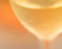 �J�e�S���[�C���[�W